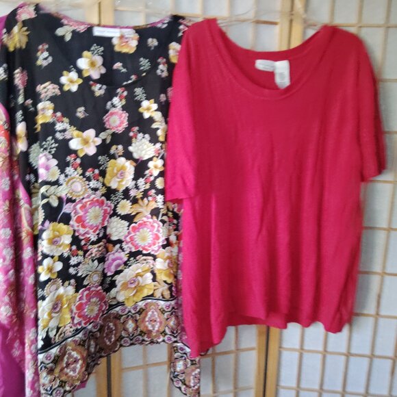 LOT OF 5/$20 WOMENS TOPS BLOUSES TUNIC HAUTE PROJECT SUSAN GRAVER PLUS SIZE 3X - Picture 2 of 4